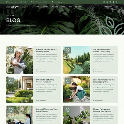 blog